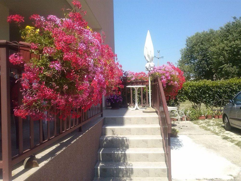 Pansion Ivanka Barac Međugorje Εξωτερικό φωτογραφία